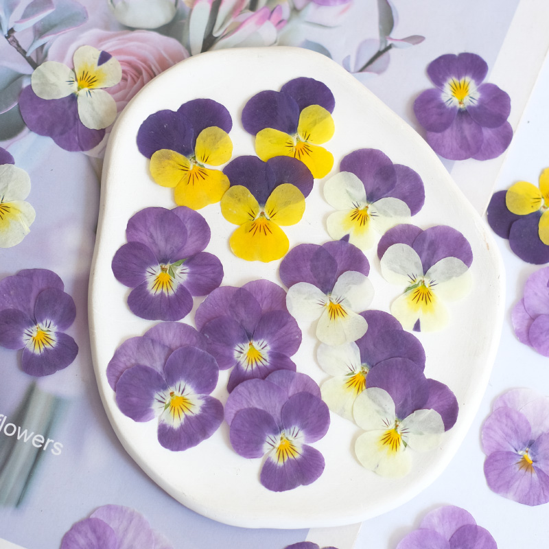 12 pièces, nature pensée fleur - Beauty Makeup Bridal avis et prix