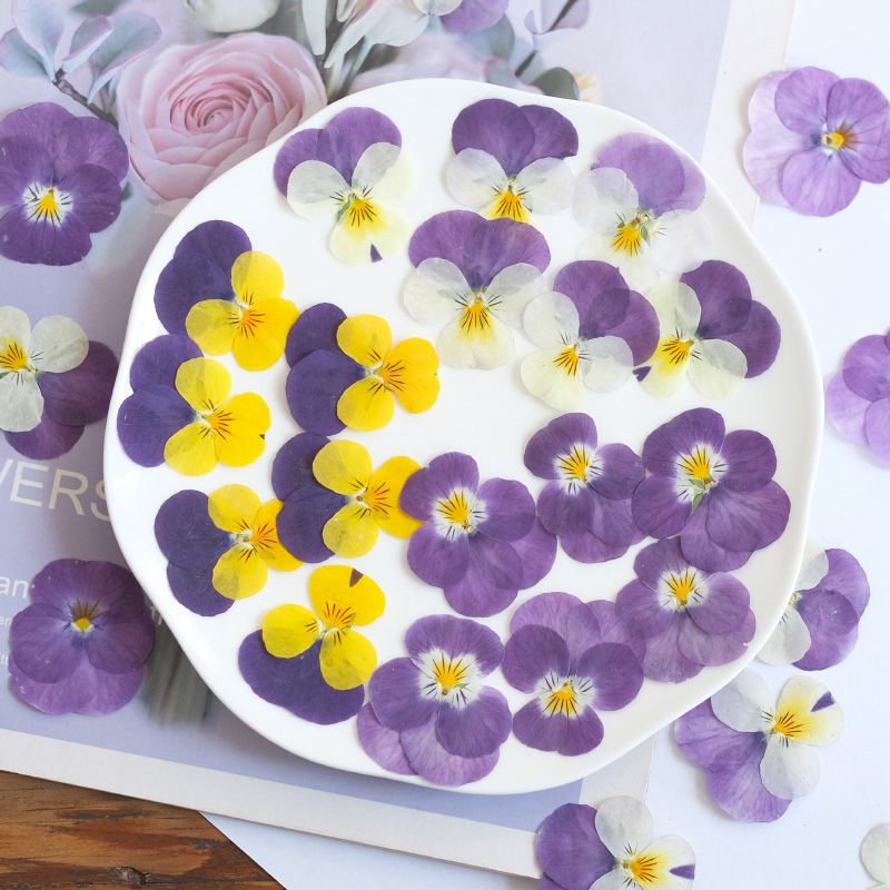 12 pièces, nature pensée fleur - Beauty Makeup Bridal avis et prix