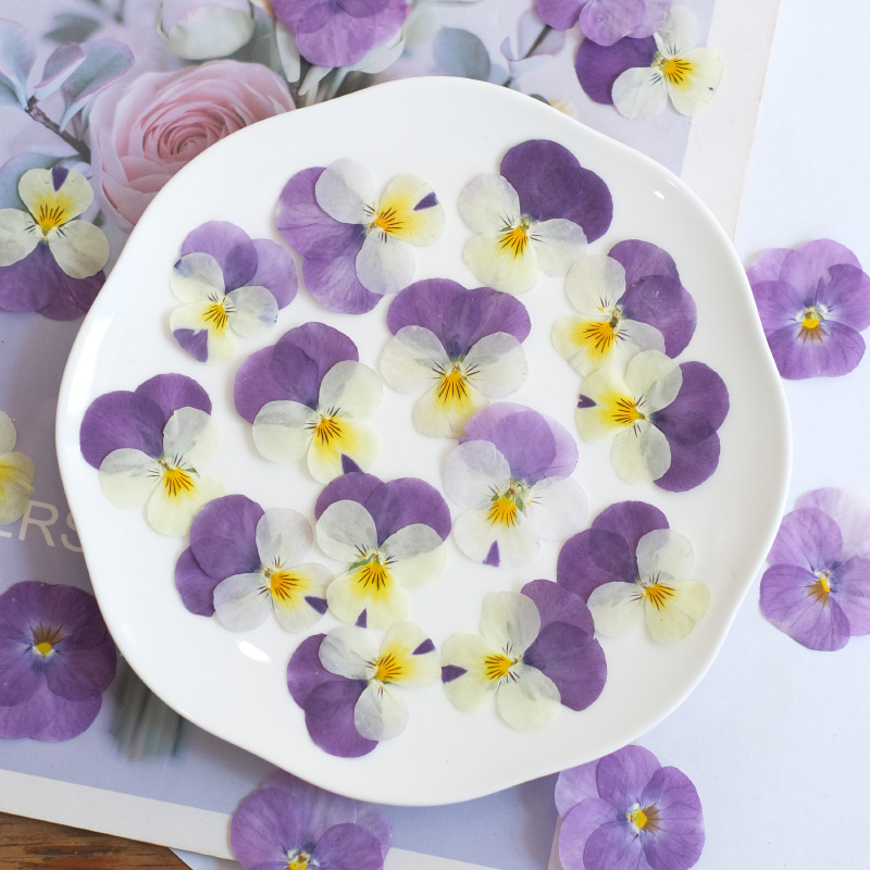 12 pièces, nature pensée fleur - Beauty Makeup Bridal avis et prix