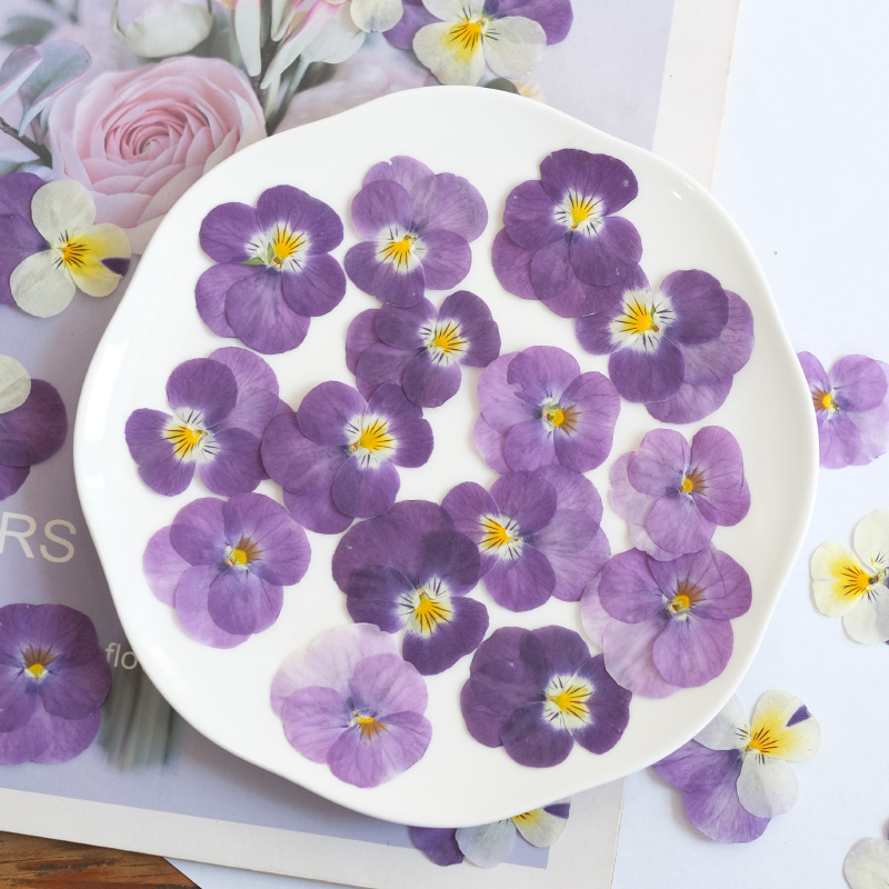 12 pièces, nature pensée fleur - Beauty Makeup Bridal avis et prix